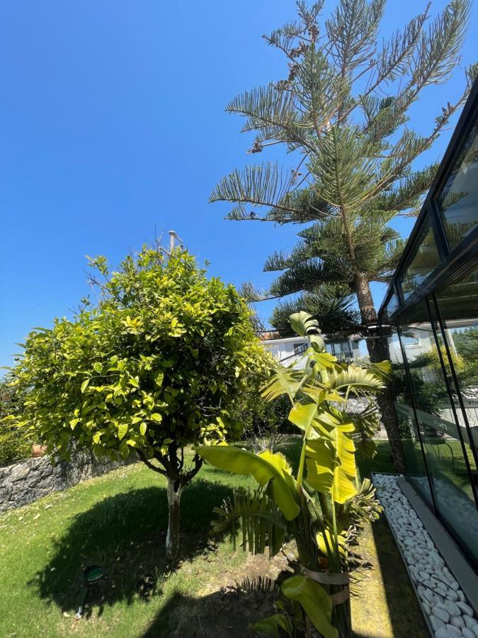 Dalyan Risus Suite Çeşme Exterior foto